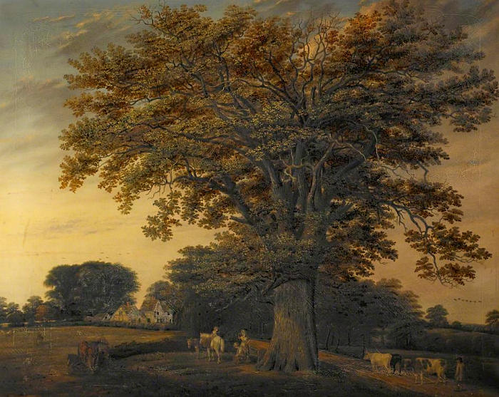 Binley Oak painted by Edwin Brown 1848