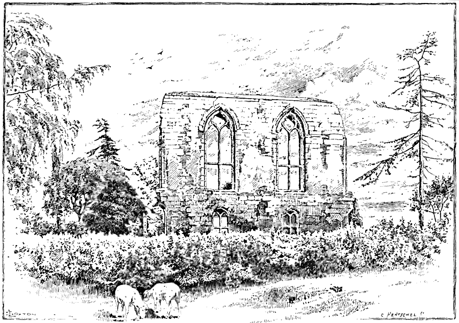 Caludon Ruins, North Side