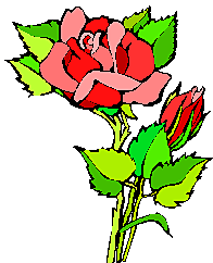 Rose image