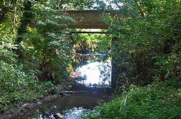 The River Sherbourne near to Charterhouse, London Road