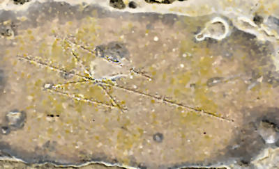 Mason's mark inside the wall at Bond's Hospital